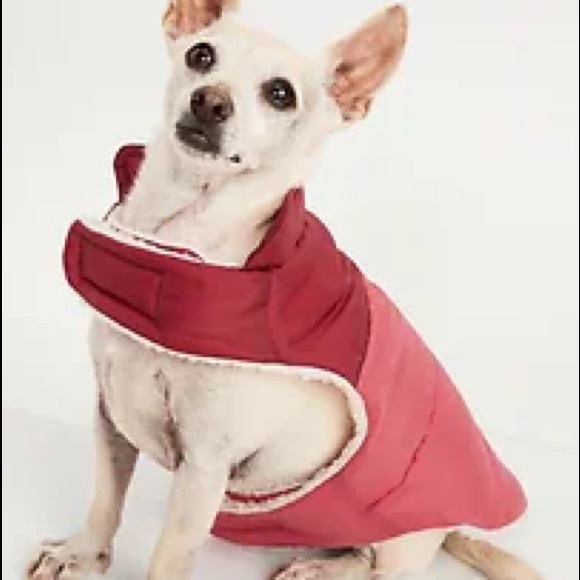 Quilted Sherpa-Lined Puffer Jacket for Cat or Dog